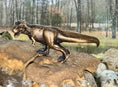 Load image into Gallery viewer, An Intense T. Rex