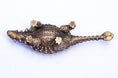 Load image into Gallery viewer, An Adventurous Ankylosaurus