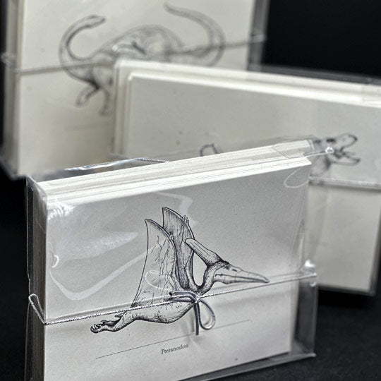 Marvelously Mesozoic Notecards