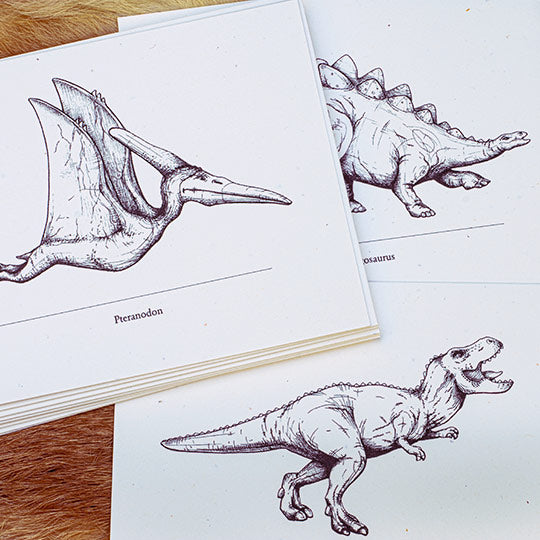 Marvelously Mesozoic Notecards