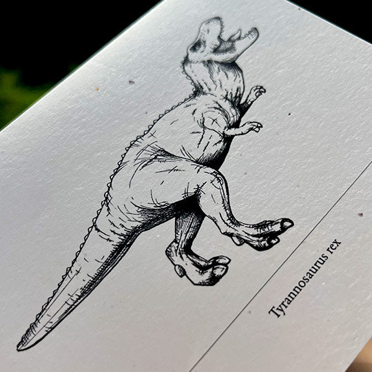 Marvelously Mesozoic Notecards