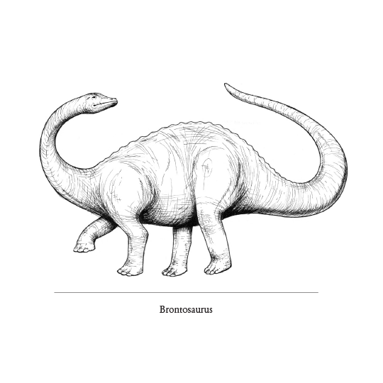 Marvelously Mesozoic Notecards