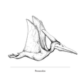 Load image into Gallery viewer, Marvelously Mesozoic Notecards