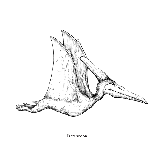 Marvelously Mesozoic Notecards