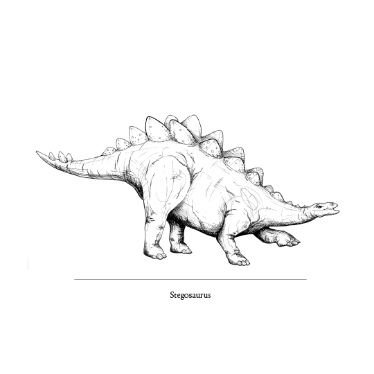 Marvelously Mesozoic Notecards