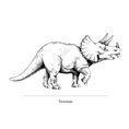 Load image into Gallery viewer, Marvelously Mesozoic Notecards