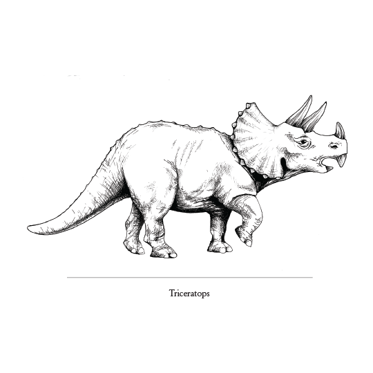 Marvelously Mesozoic Notecards