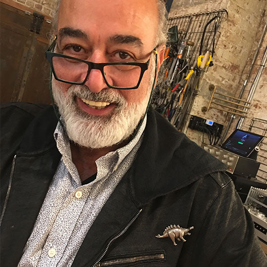 A Savvy Stegosaurus Brooch