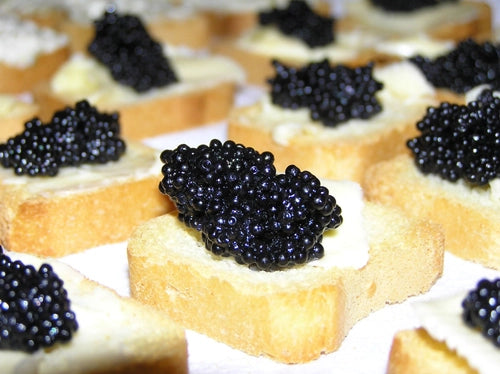 Have some caviar to welcome in 2024! The ancestral sturgeon survived, and you can too!