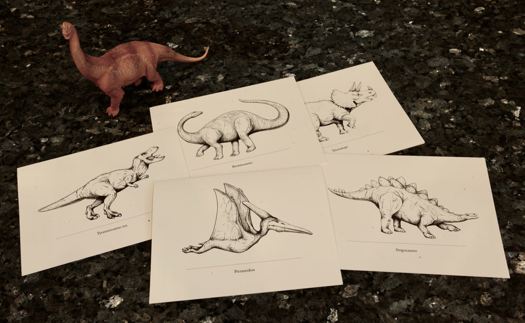 Support Old-School Niceties--and Science--with our Dinosaur Notecards and Journals